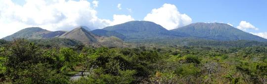 Orquideas de El Salvador